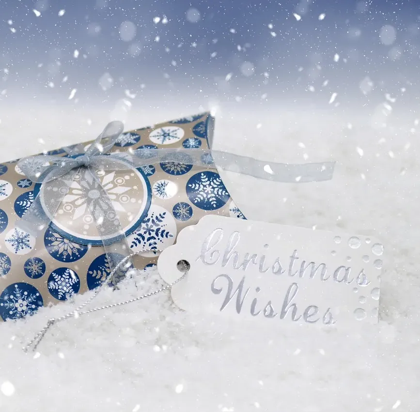 12 Days of Christmas: Last-Minute Gifts They’ll Love