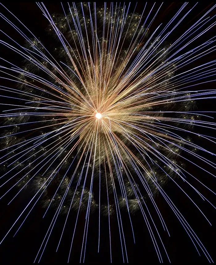 Hello and Happy Belated New Year FLLS Fam!  Let’s Catch Up …