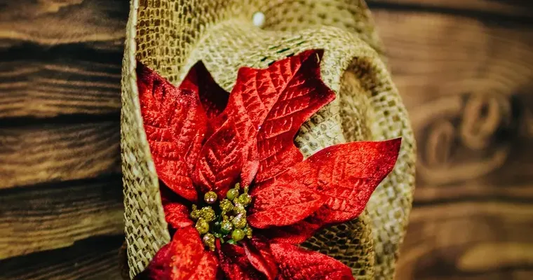 Welcome to 12 Days of Christmas!